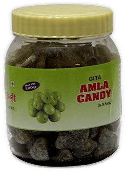 Gita Bhawan Amla Candy (Rishikesh)