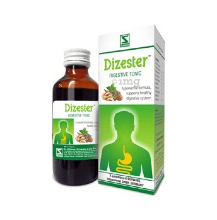 Dizester Schwabe Germany for all digestive Problems