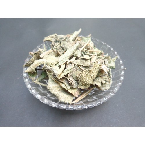 GAZWAN - गजवान - SEDGE - ONOSMA BRACTEATUM