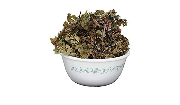 HANSRAJ - हंसराज - PERSHOSHA - ADIANTUM CAPILLUS VENERIS