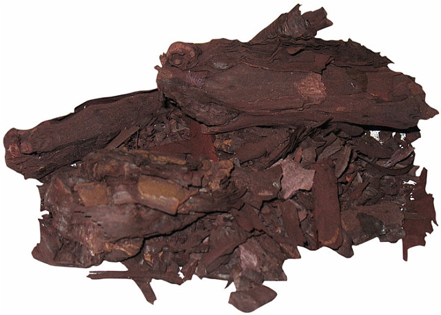 RATANJOT - रतनजोत - ALKANET - ONOSMA ECHIOIDES