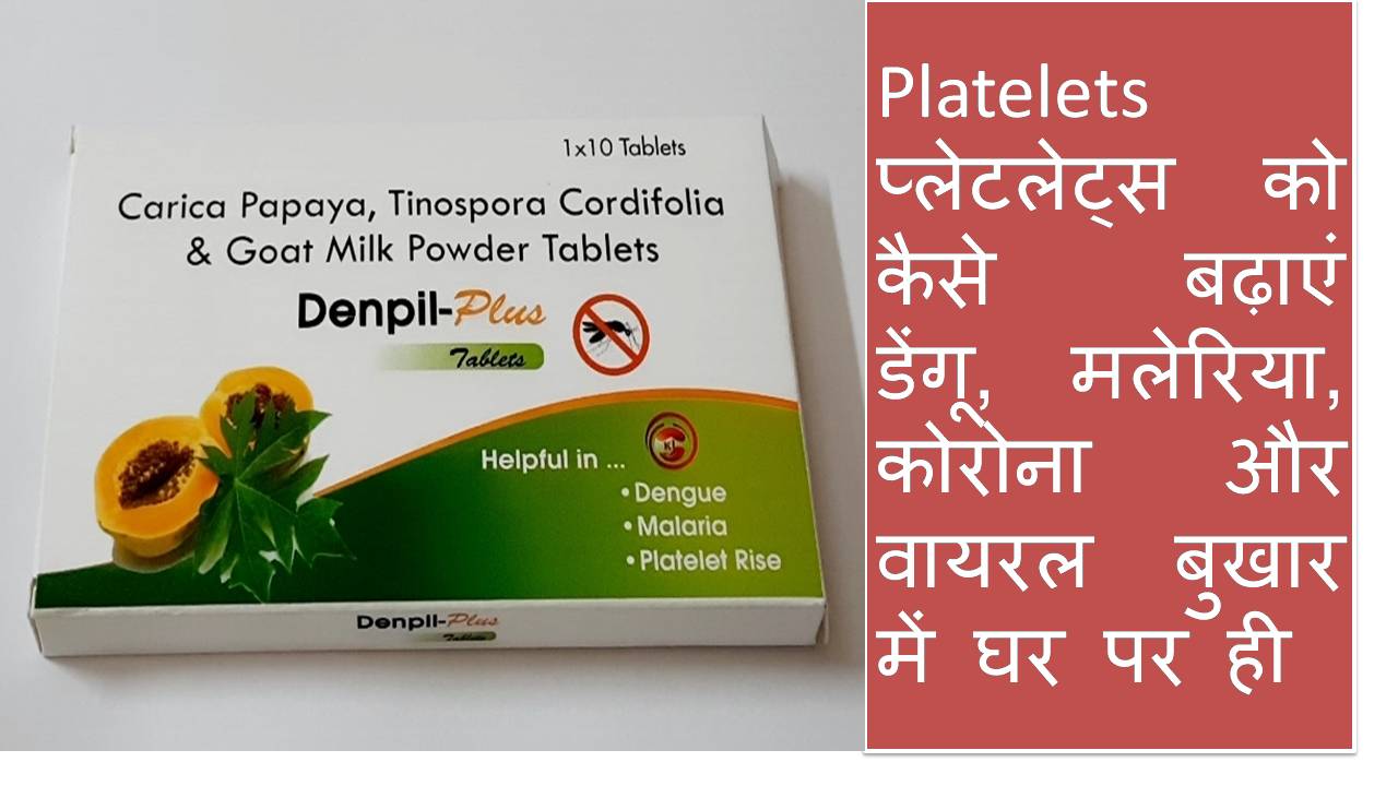 Platelets Increase Denpil Plus