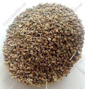 AJMOD - अजमोद - PARSLEY - APIUM GRAVEOLENS