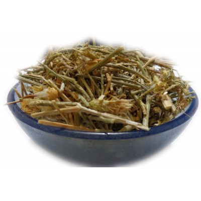 BHRAMHI DANDI - ब्रह्मी डंडी - CAMEL’S THISTLE - TRICHOLEPIS ANGUSTIFOLIA