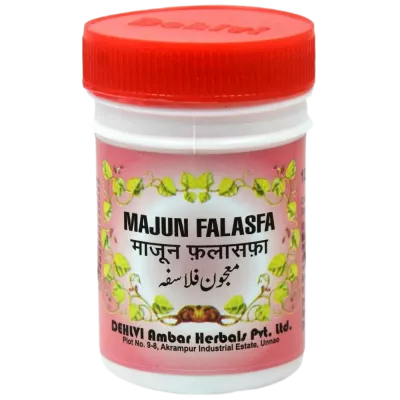 Dehlvi Majun Falasfa