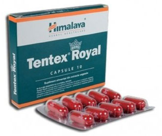 Tentex Royal From Himalaya