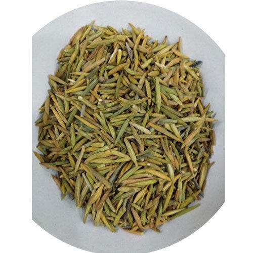 INDERJO MEETHA - इन्द्रजौ मीठा - SWEET LNDARJAO - WRIGHTIA TINCTORIA