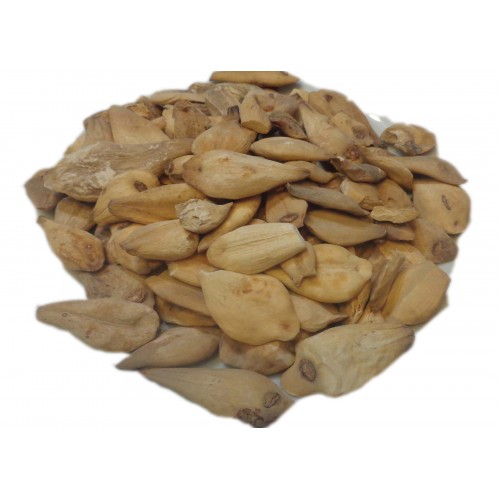 SURANJAN - सुरंजन - MEADOW SAFFRON - COLCHICUM LUTEUM BAKER