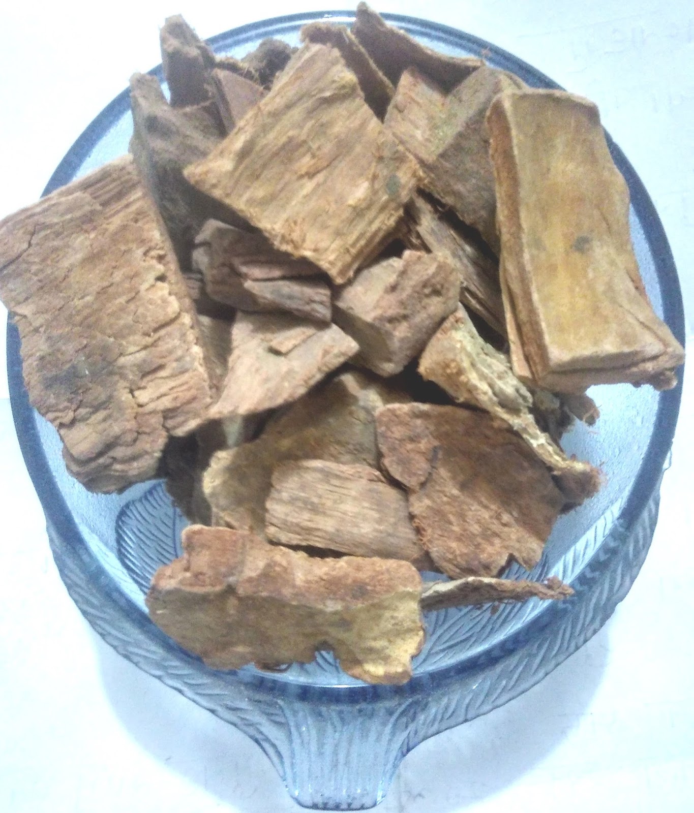 ARJUN CHAAL - Terminalia Arjuna.