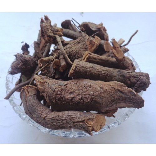 CHITRAK - चित्रक - WHITE LEADWORT - PLUMBAGO ZEYLANICA