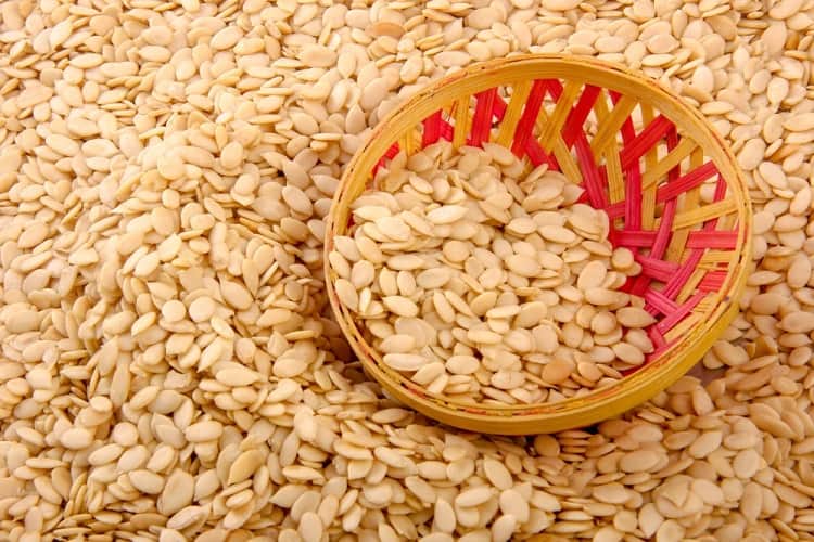 KHARBUJA BEEJ - खरबूजा बीज - MUSKMELON SEED - CUCUMIS MELO