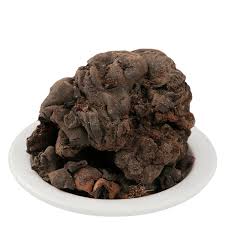 MOCHRAS - मोचरस - BOMBAX CEIBA - SALMALIA MALABARICA