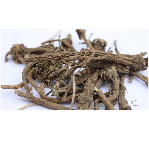 BISFAYEJ - बिसफेज - POLYPODY - POLYPODIUM VULGARE