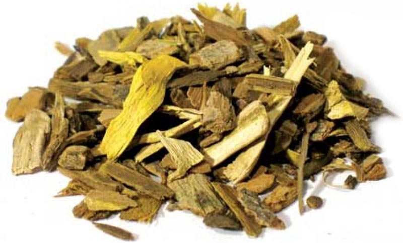 DARU HALDI - दारू हल्दी - INDIAN BARBERRY - BERBERIS ARISTATA