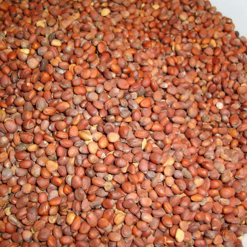 MULI BEEJ (EDIBLE) - मूली बीज - RADISH SEED - RAPHANUS SATIVUS
