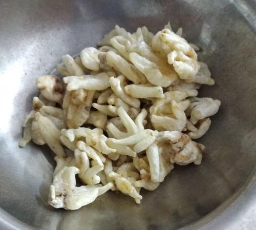 SALAB PANJA - सालब पंजा - SALEP ORCHID - ORCHIS LATIFOLIA